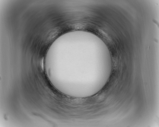 X0000096490028200802071953