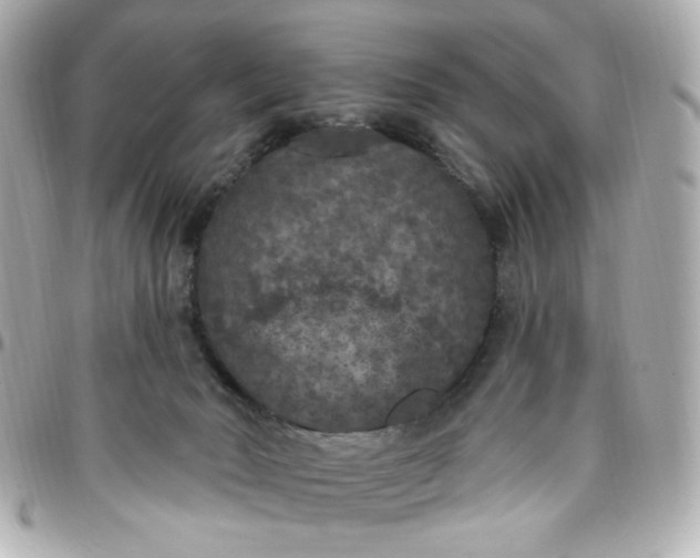 X0000096490030200802071953