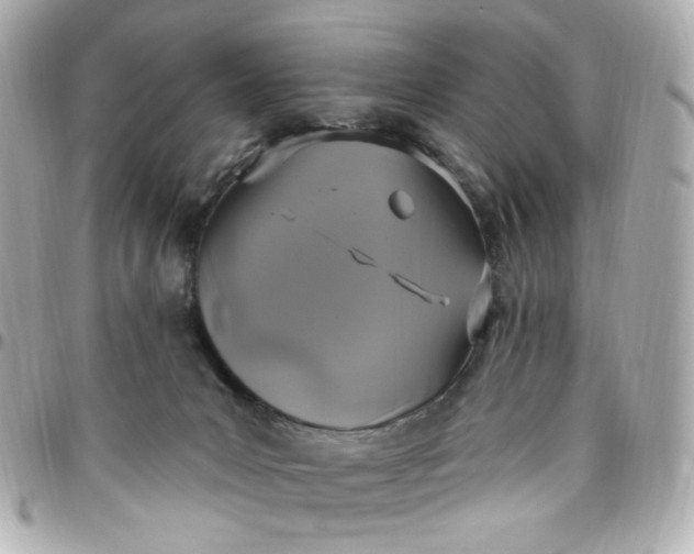 X0000096490031200802071953