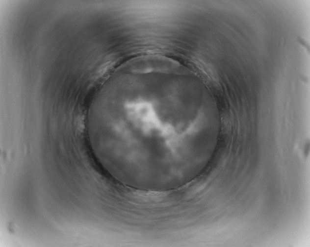 X0000096490032200802071953