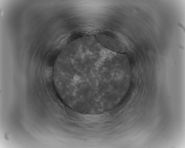 X0000096490034200802071953