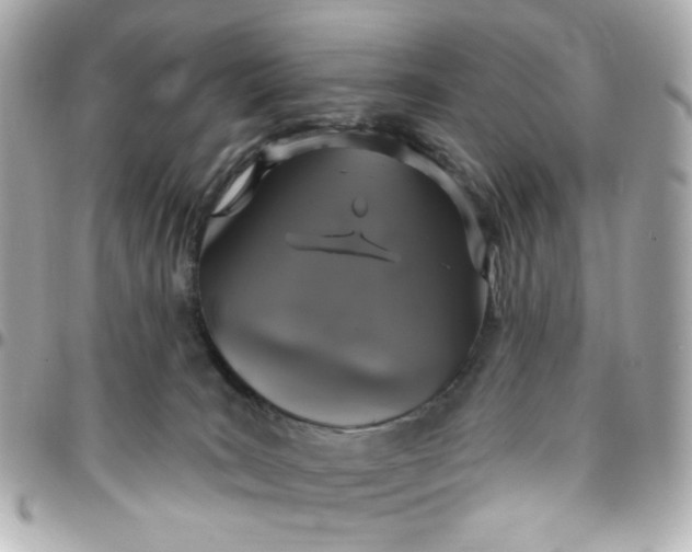 X0000096490035200802071953