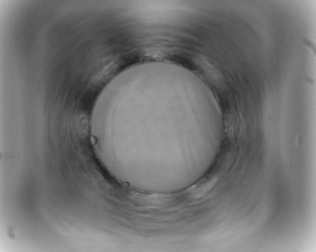 X0000096490036200802071953