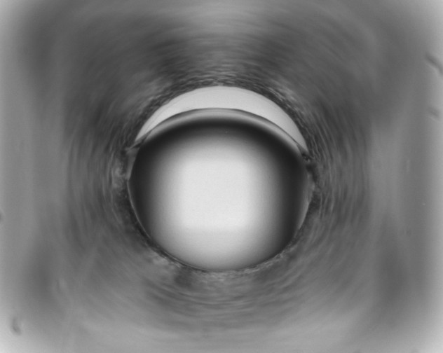 X0000096490037200802071953