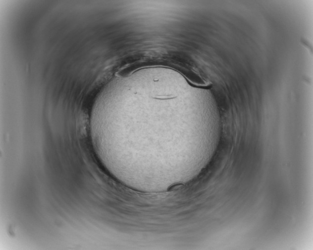 X0000096490038200802071953