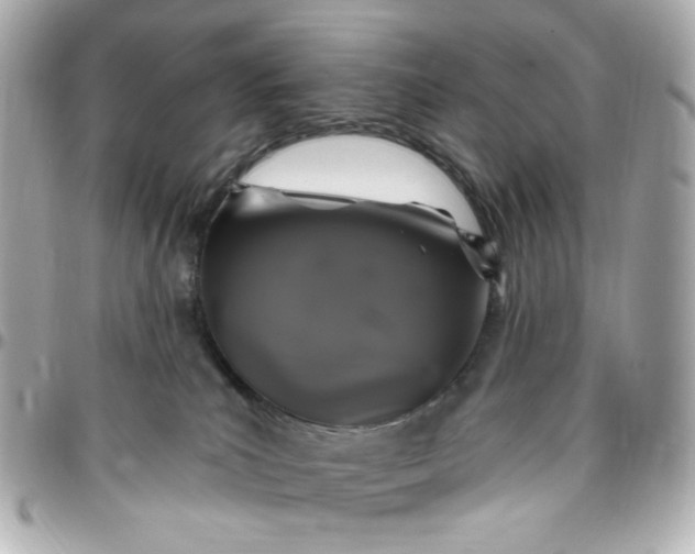 X0000096490039200802071953