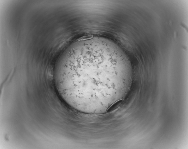 X0000096490040200802071953