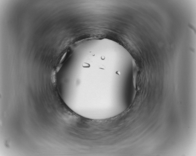 X0000096490041200802071953