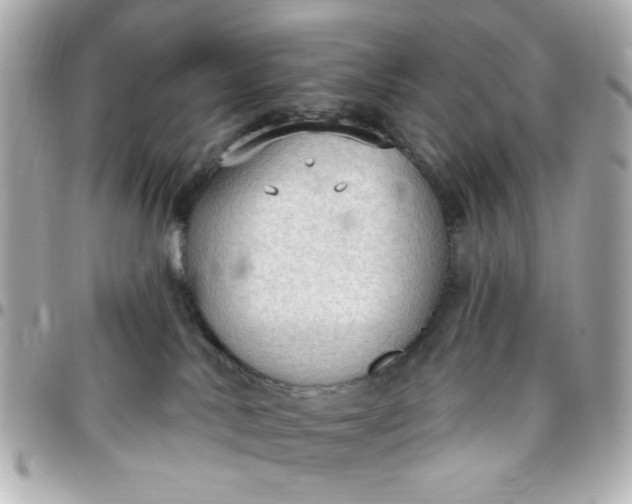 X0000096490042200802071953