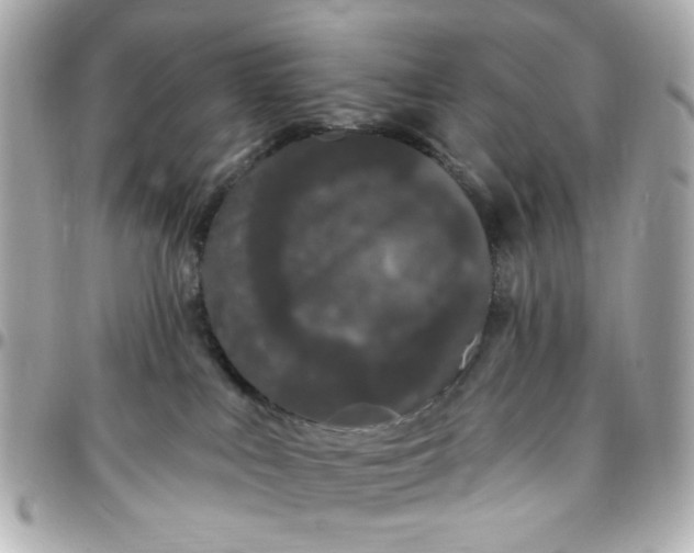 X0000096490043200802071953