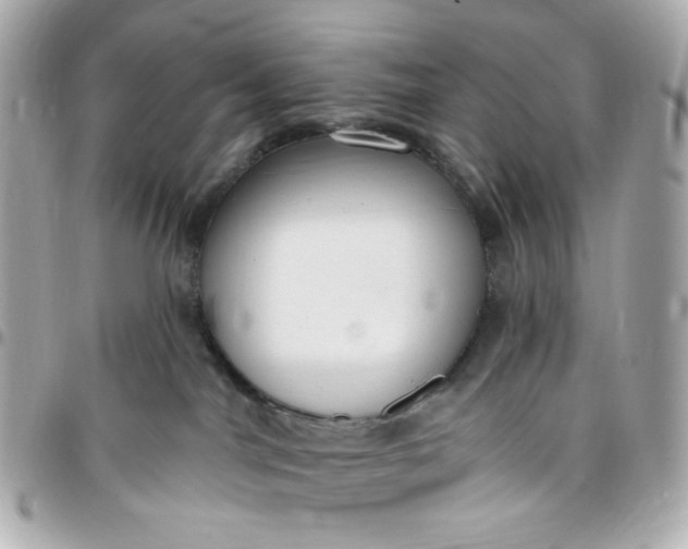 X0000096490044200802071953