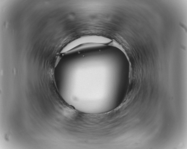 X0000096490045200802071953