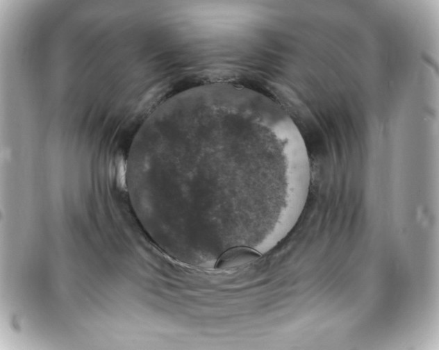 X0000096490046200802071953