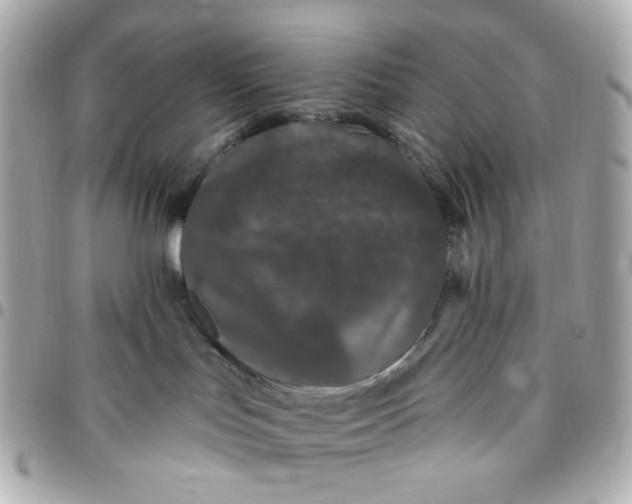 X0000096490047200802071953