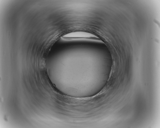 X0000096490048200802071953