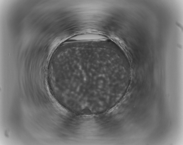 X0000096490049200802071952