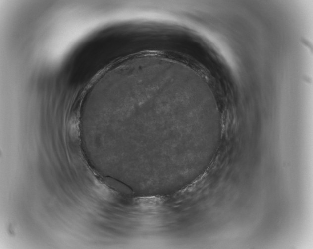 X0000096490050200802071952