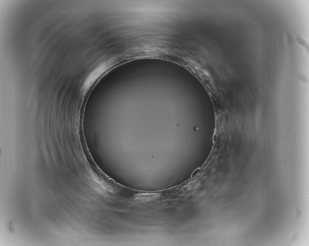 X0000096490051200802071952