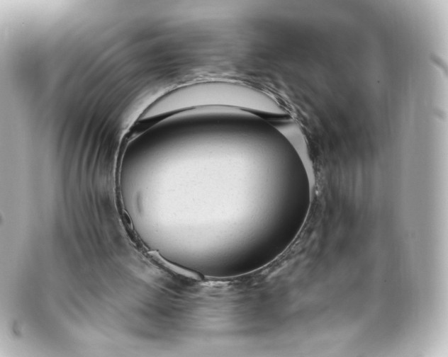 X0000096490052200802071952