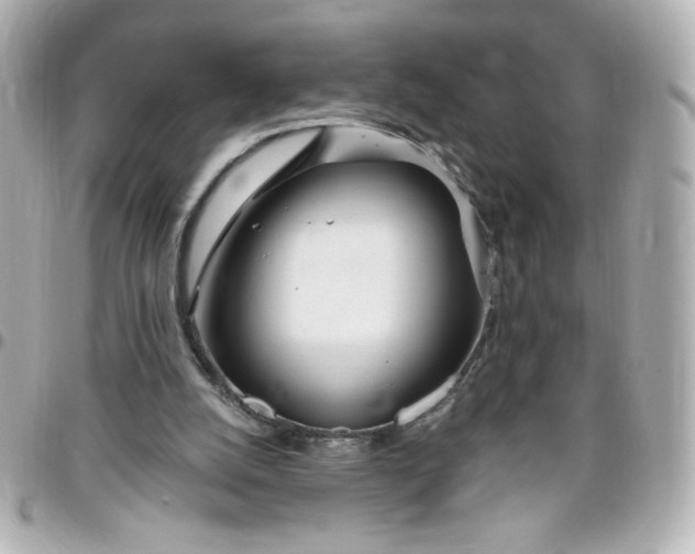 X0000096490056200802071952