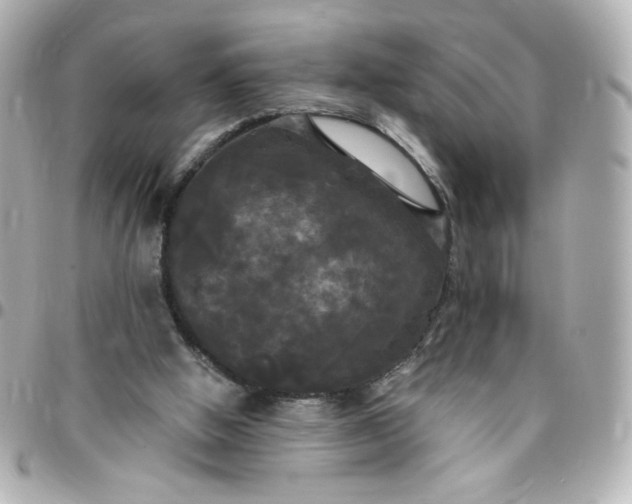 X0000096490058200802071952