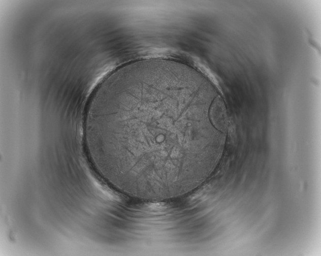 X0000096490059200802071952