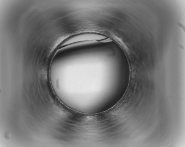 X0000096490060200802071952