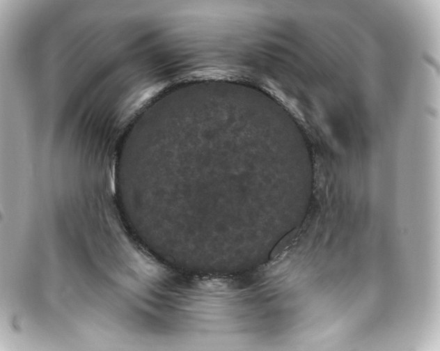 X0000096490062200802071952