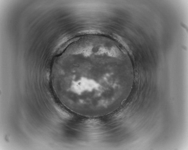 X0000096490063200802071952