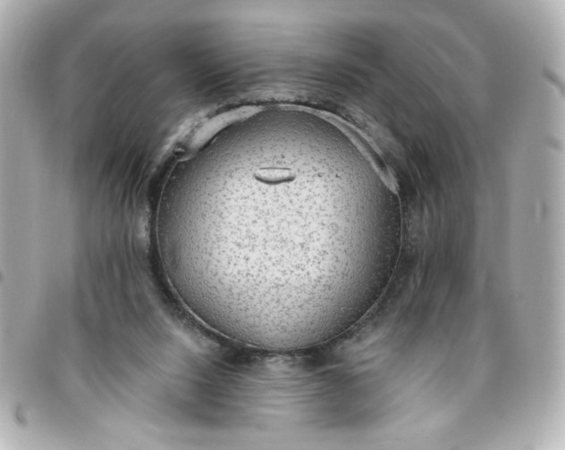 X0000096490064200802071952