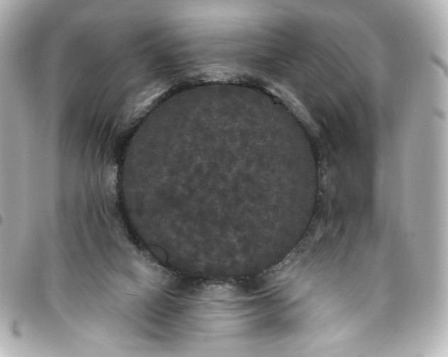 X0000096490066200802071952