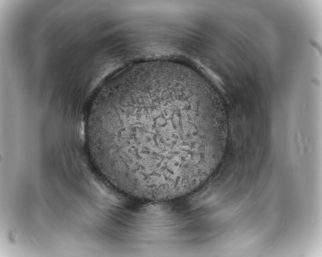 X0000096490067200802071952