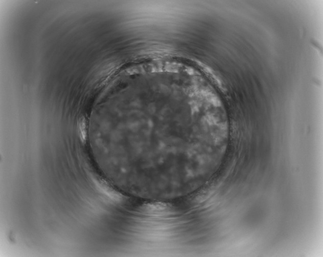 X0000096490069200802071952