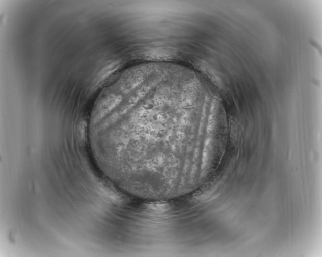 X0000096490071200802071952