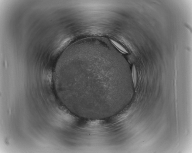 X0000096490072200802071952