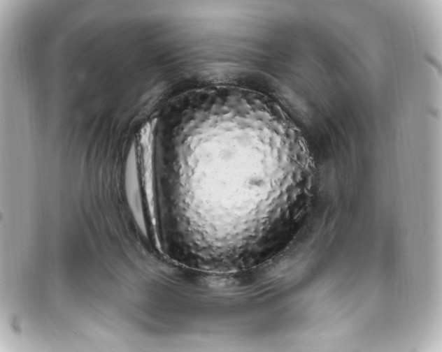 X0000096490073200802071952