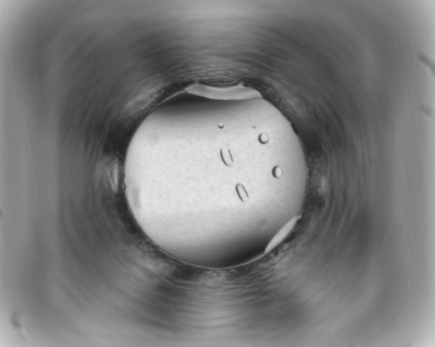 X0000096490076200802071952