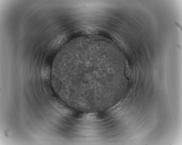 X0000096490078200802071952