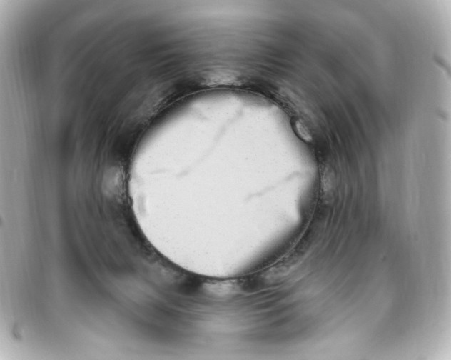 X0000096490079200802071952