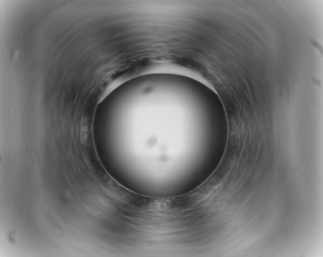 X0000096490080200802071952