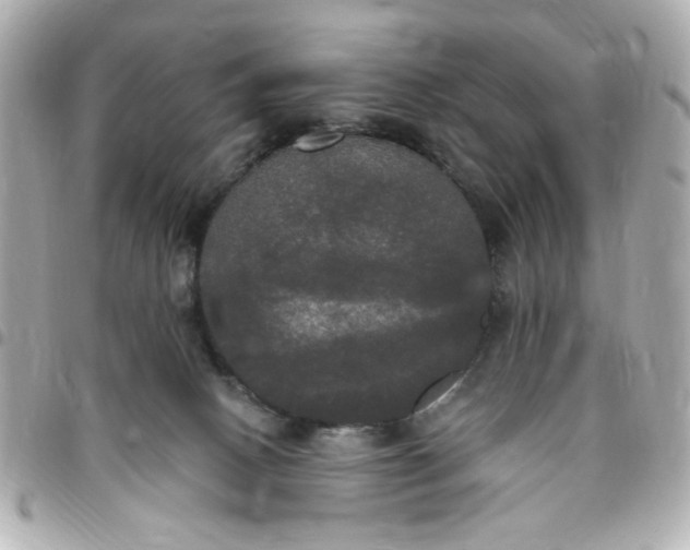 X0000096490082200802071952