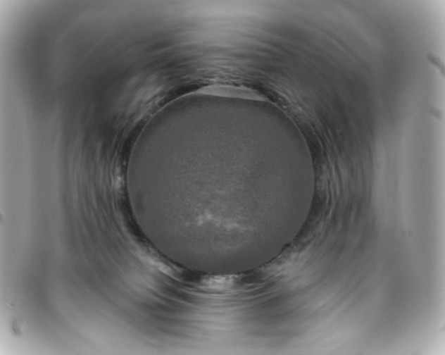 X0000096490084200802071952