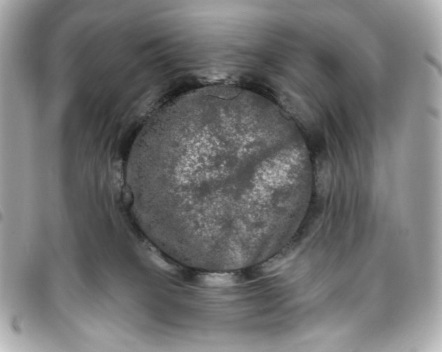 X0000096490085200802071952