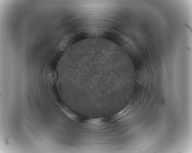 X0000096490086200802071952