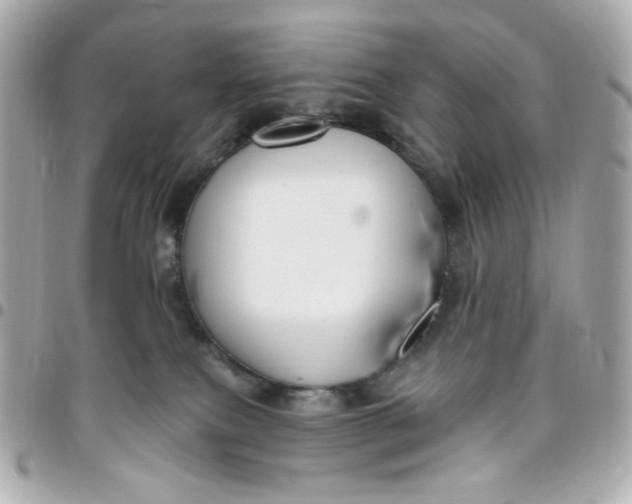 X0000096490087200802071952