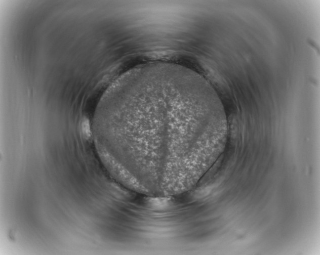 X0000096490089200802071952