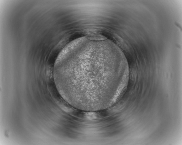 X0000096490091200802071952