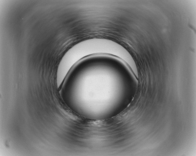 X0000096490092200802071952