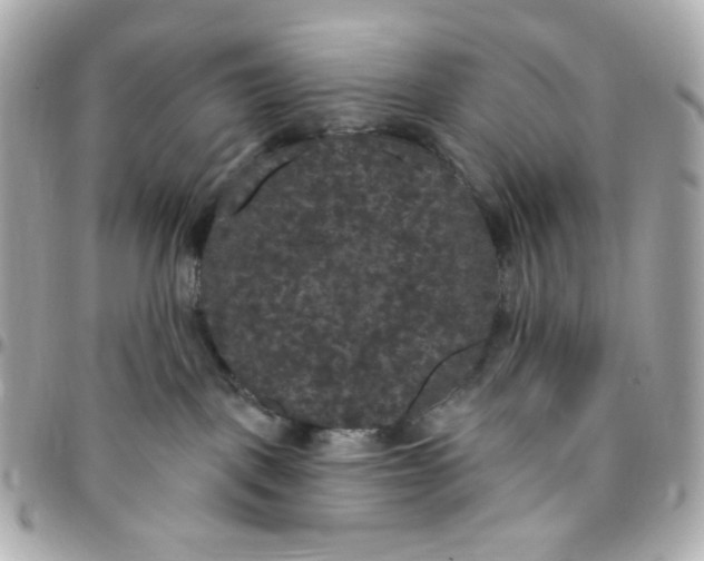 X0000096490093200802071952