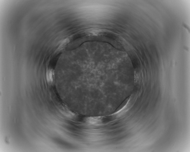 X0000096490094200802071952